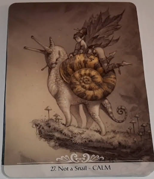 Barbieri Unicorns Oracle
